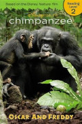 Chimpanzee Oscar and Freddy