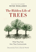 Hidden life of trees: what they feel, how they communicate : discoveries from a secret world