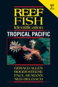 Reef fish identification: tropical Pacific